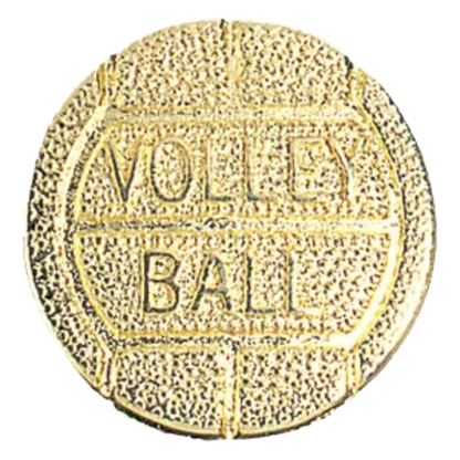 Chenille Pins